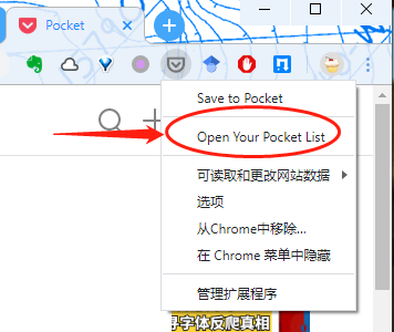 PC端打开Pocket列表